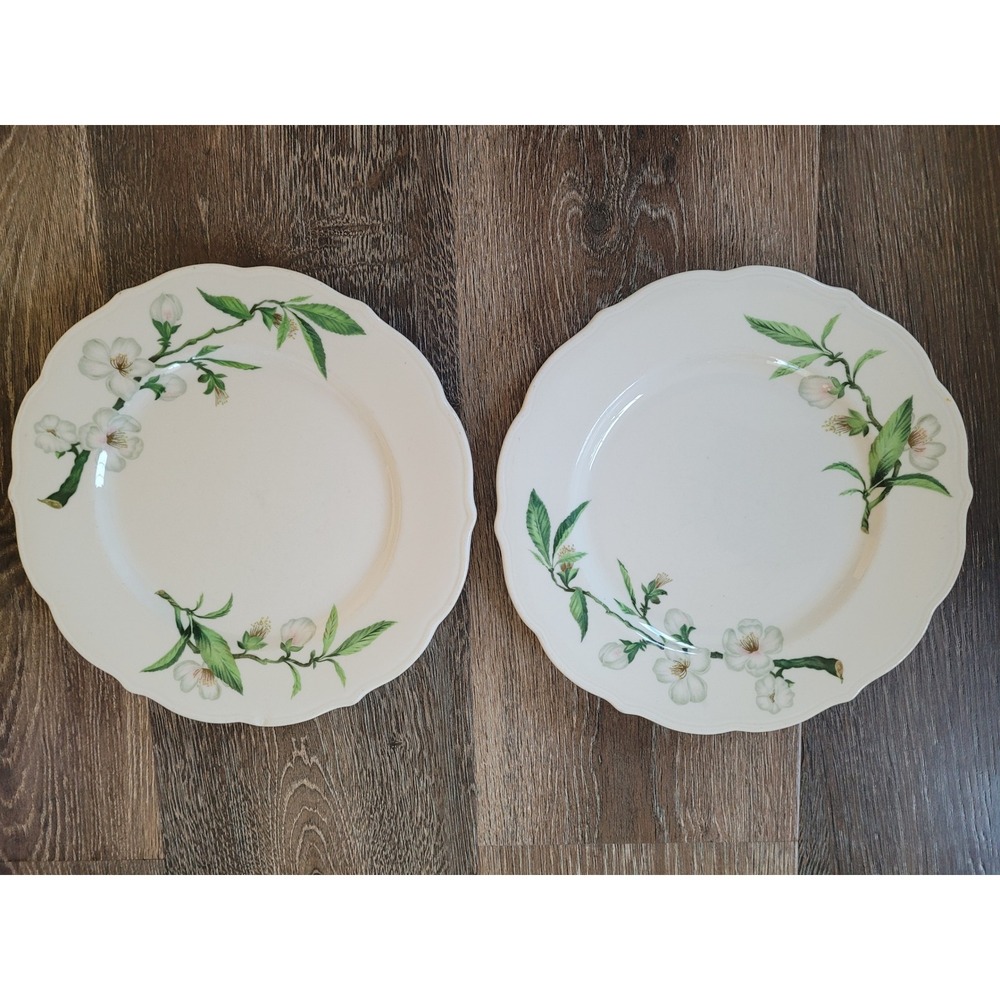 Vintage Syracuse China Apple Blossom Scalloped Dinner Plates Set of 2 Floral‎